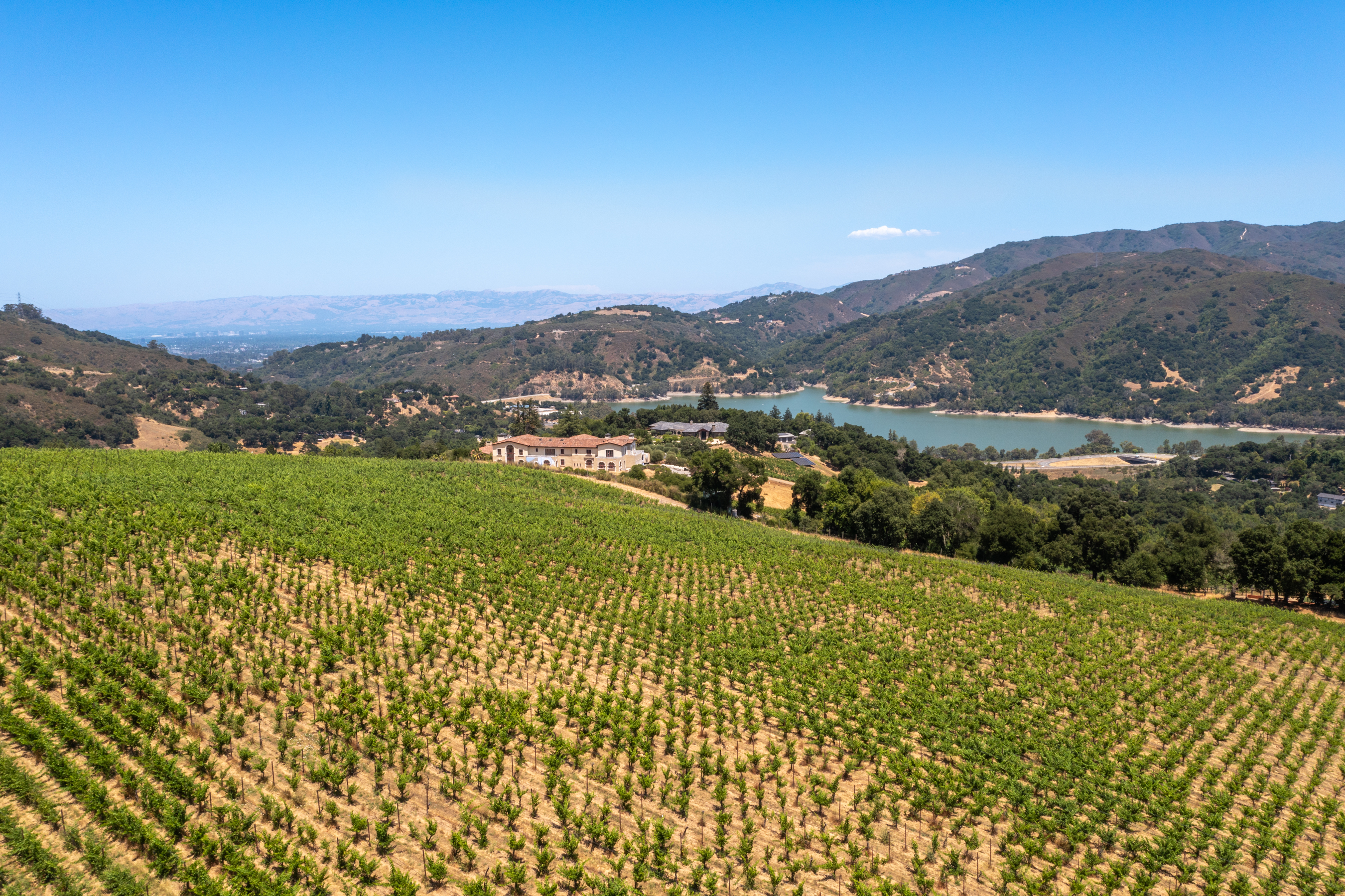 View from Black Ridge Vineyard Estates to Downtown San Jose and Lexington Reservoir.